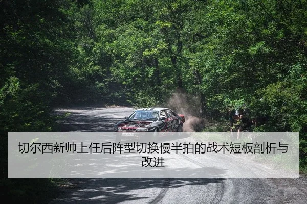 qie-er-xi-xin-shuai-shang-ren-hou-zhen-xing-qie-huan-man-ban-pai-de-zhan-shu-duan-ban-pou-xi-yu-gai-jin-2-255.jpg